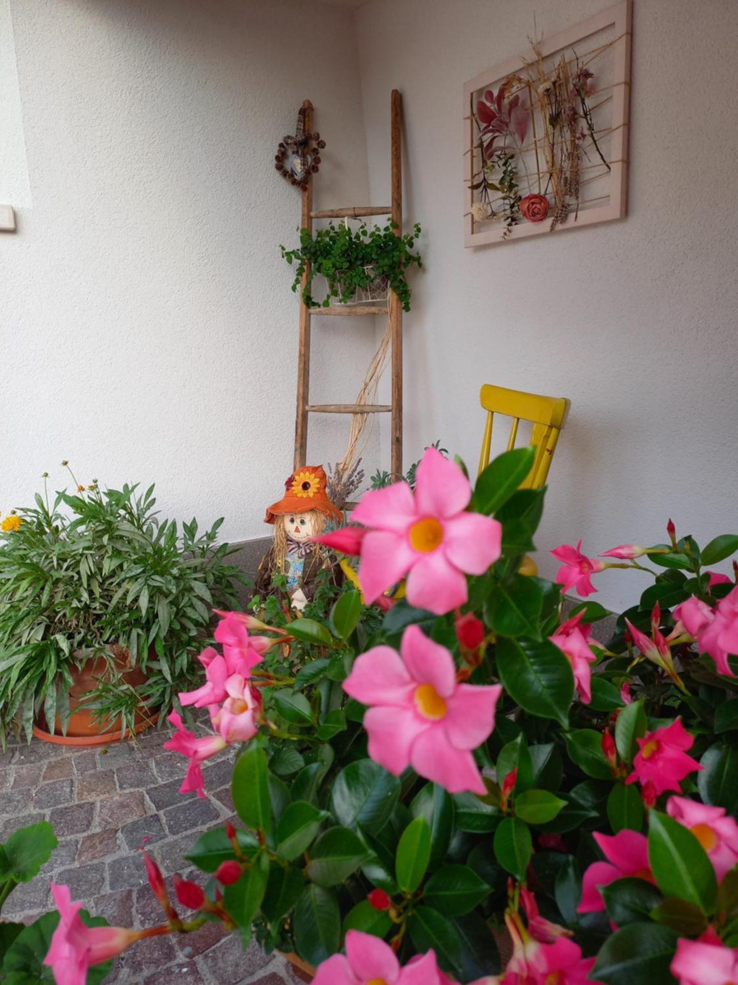 Casa Vacanze Paola Romeno 外观 照片